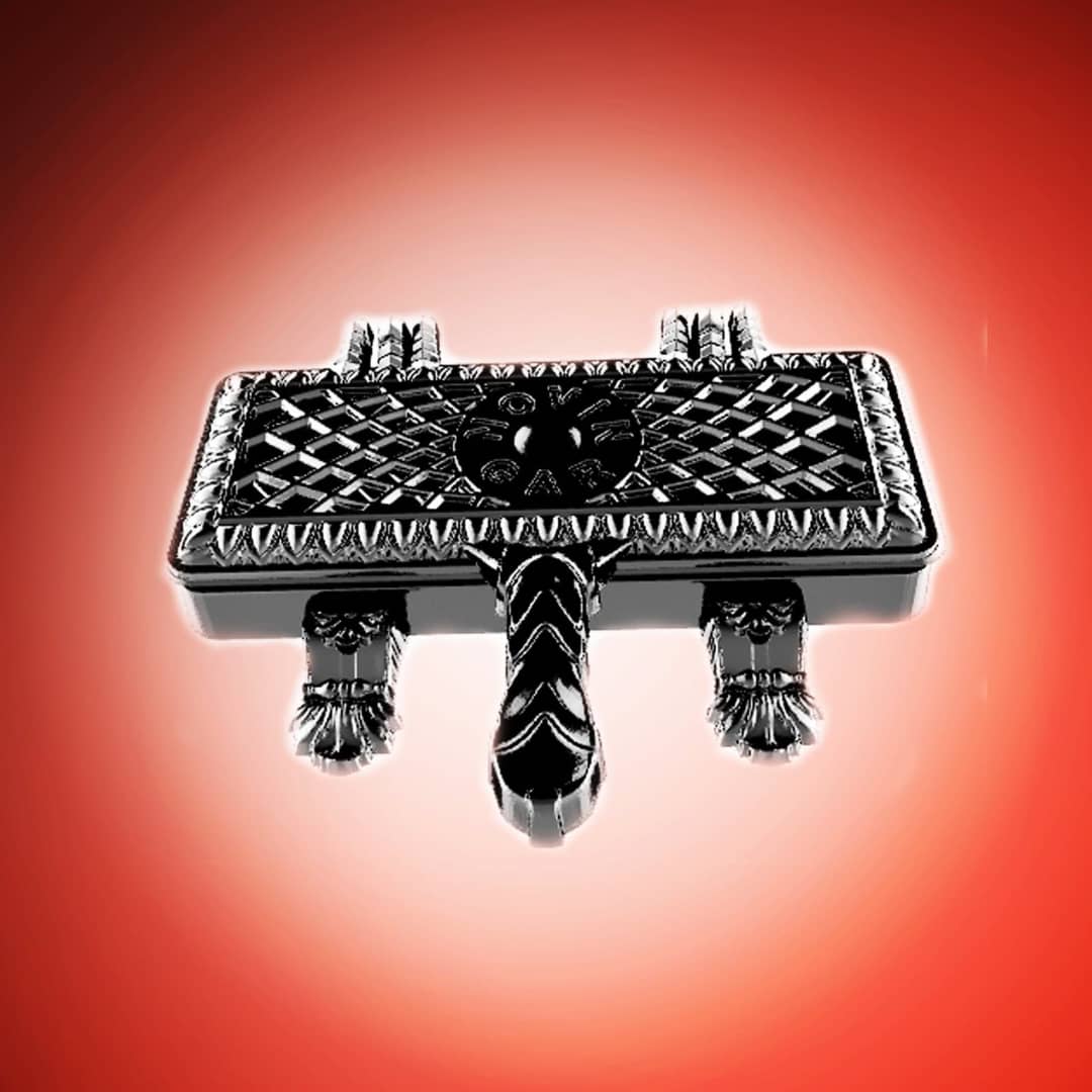 کباب زن (سیخ گیر ) دوقلو